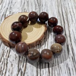 vòng đá gỗ hóa thạch