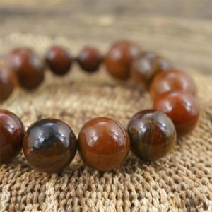 vòng đá gỗ hóa thạch