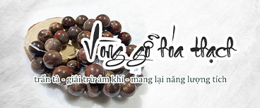 vòng gỗ hóa thạch